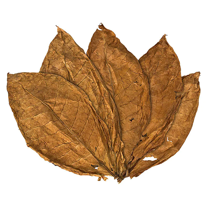 Produktfoto Tabakblätter, getrocknet, dekoriert Produktbild, Standard-Produktfoto Tabakwaren